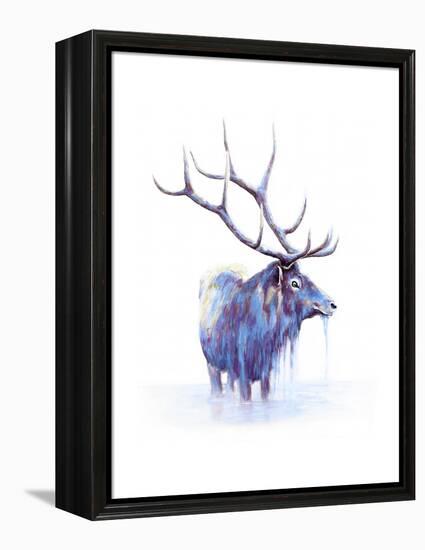 Elk in Water-Michelle Faber-Framed Premier Image Canvas