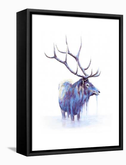 Elk in Water-Michelle Faber-Framed Premier Image Canvas