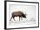 Elk IV-Tammy Putman-Framed Photographic Print