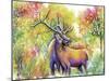 Elk Love-Michelle Faber-Mounted Giclee Print