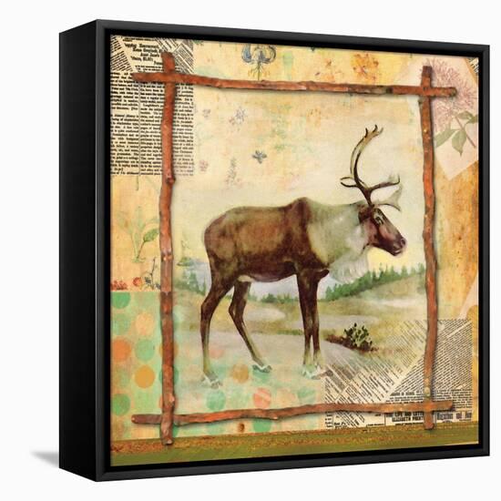 Elk Nature-Walter Robertson-Framed Stretched Canvas