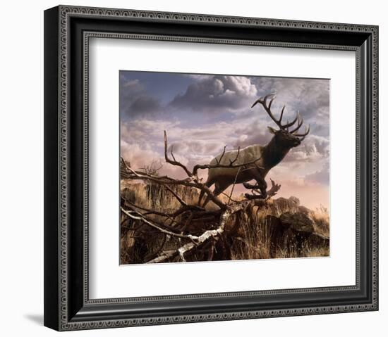 Elk Passage-Steve Hunziker-Framed Art Print