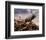 Elk Passage-Steve Hunziker-Framed Art Print