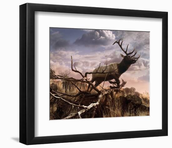 Elk Passage-Steve Hunziker-Framed Art Print