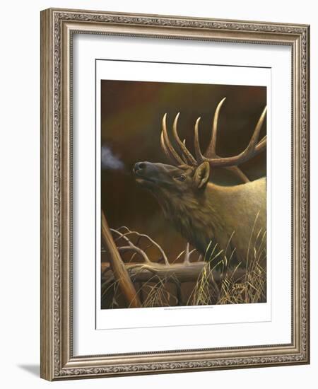 Elk Portrait I-Leo Stans-Framed Art Print