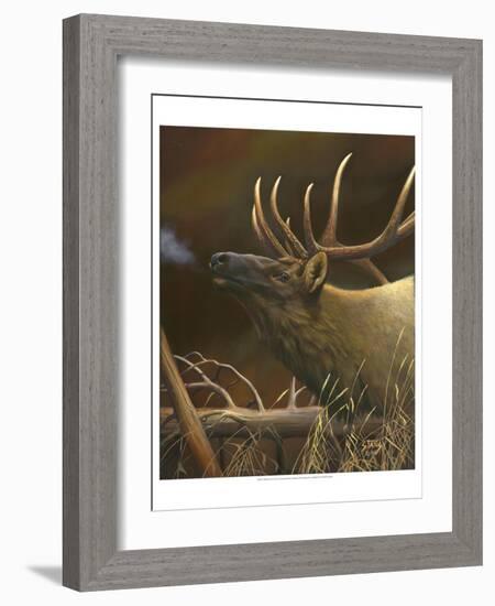 Elk Portrait I-Leo Stans-Framed Art Print