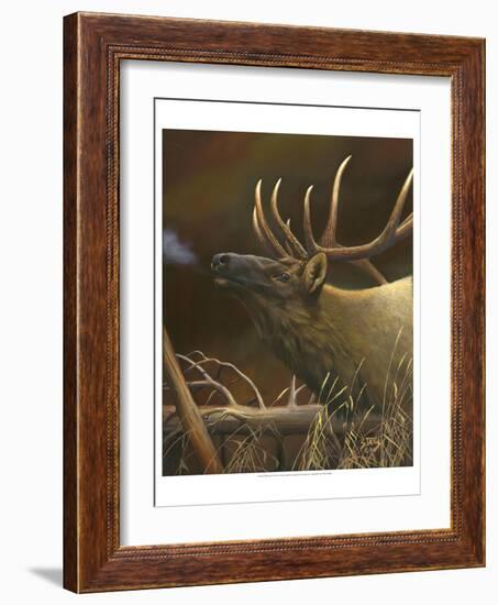 Elk Portrait I-Leo Stans-Framed Art Print