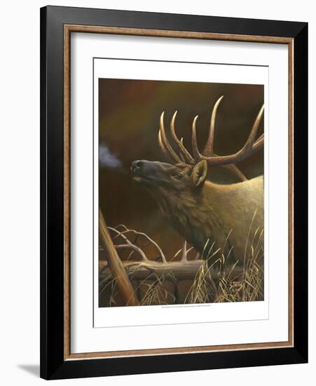 Elk Portrait I-Leo Stans-Framed Art Print