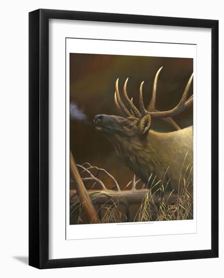 Elk Portrait I-Leo Stans-Framed Art Print