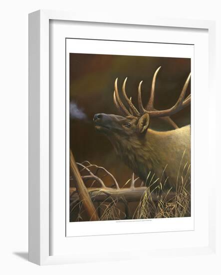 Elk Portrait I-Leo Stans-Framed Art Print