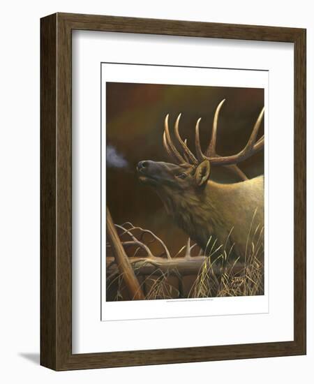 Elk Portrait I-Leo Stans-Framed Art Print