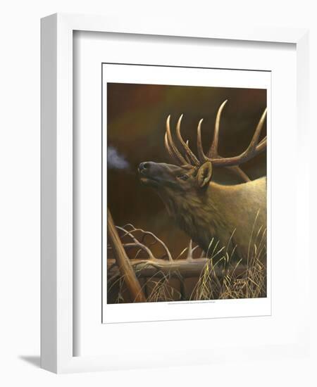 Elk Portrait I-Leo Stans-Framed Art Print