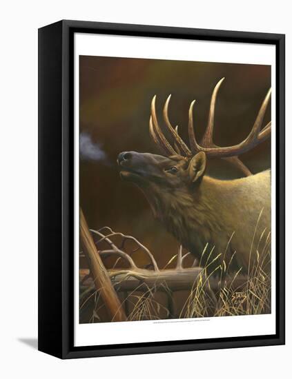 Elk Portrait I-Leo Stans-Framed Stretched Canvas