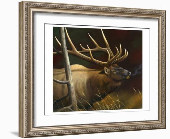 Elk Portrait II-Leo Stans-Framed Art Print