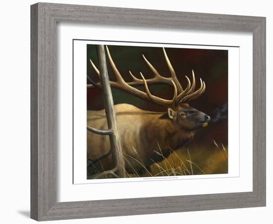 Elk Portrait II-Leo Stans-Framed Art Print