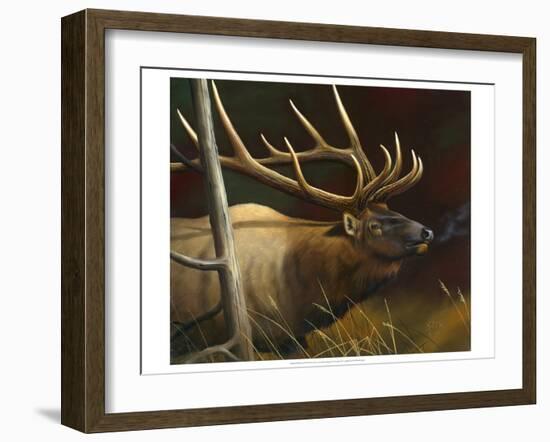 Elk Portrait II-Leo Stans-Framed Art Print