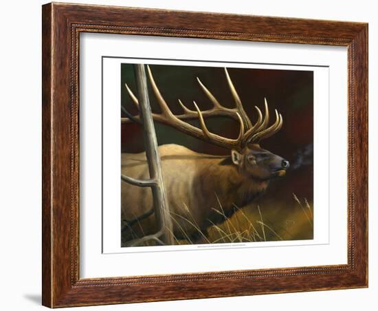 Elk Portrait II-Leo Stans-Framed Art Print