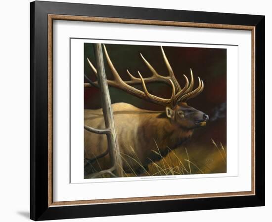 Elk Portrait II-Leo Stans-Framed Art Print