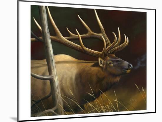 Elk Portrait II-Leo Stans-Mounted Art Print