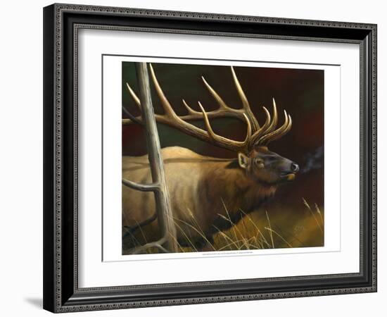 Elk Portrait II-Leo Stans-Framed Art Print