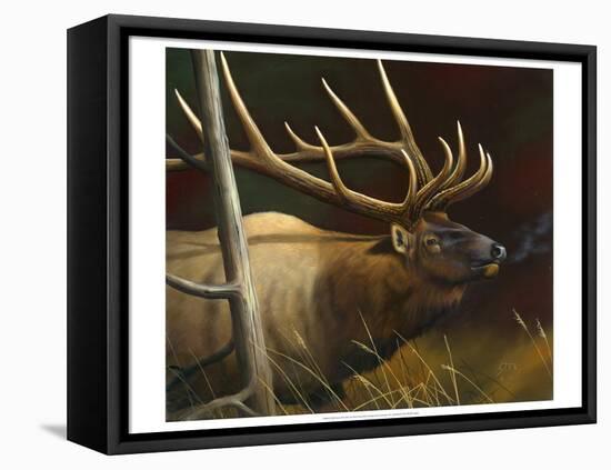 Elk Portrait II-Leo Stans-Framed Stretched Canvas