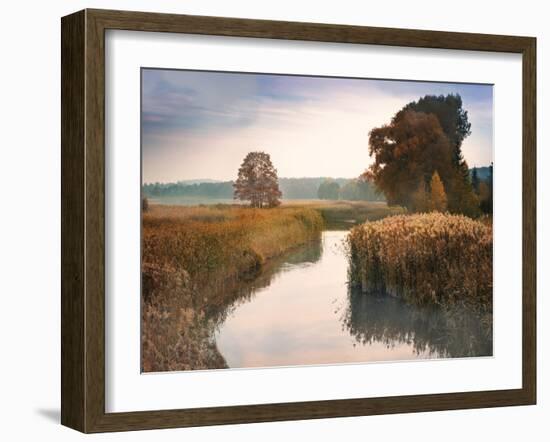 Elk River-null-Framed Art Print