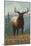 Elk Scene - Grand Lake, Colorado-Lantern Press-Mounted Art Print