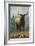 Elk Scene - Wyoming-Lantern Press-Framed Art Print