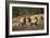 Elk Study IV-David Drost-Framed Photographic Print