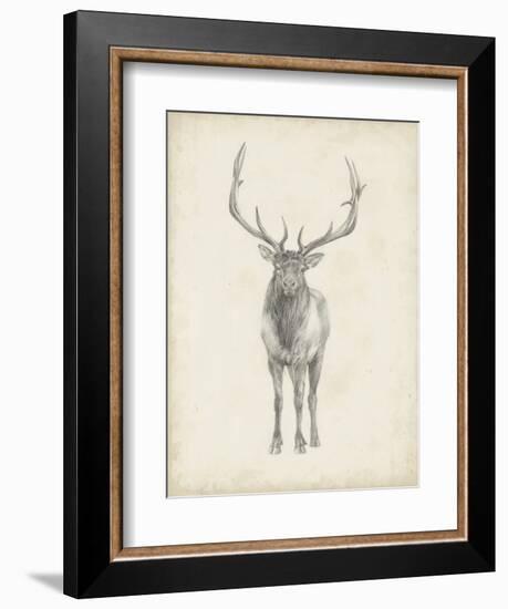 Elk Study-Ethan Harper-Framed Art Print