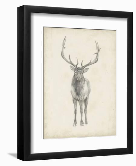 Elk Study-Ethan Harper-Framed Art Print