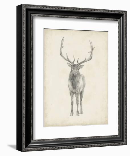 Elk Study-Ethan Harper-Framed Art Print