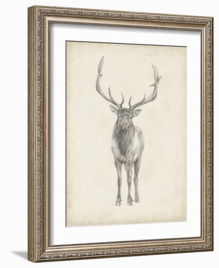 Elk Study-Ethan Harper-Framed Art Print