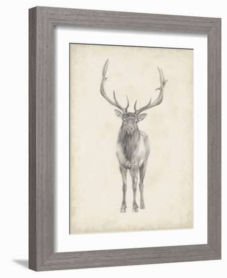 Elk Study-Ethan Harper-Framed Art Print