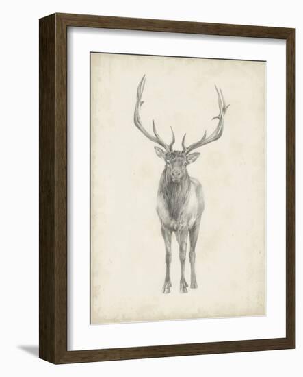 Elk Study-Ethan Harper-Framed Art Print