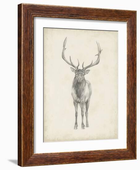 Elk Study-Ethan Harper-Framed Art Print