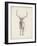 Elk Study-Ethan Harper-Framed Art Print