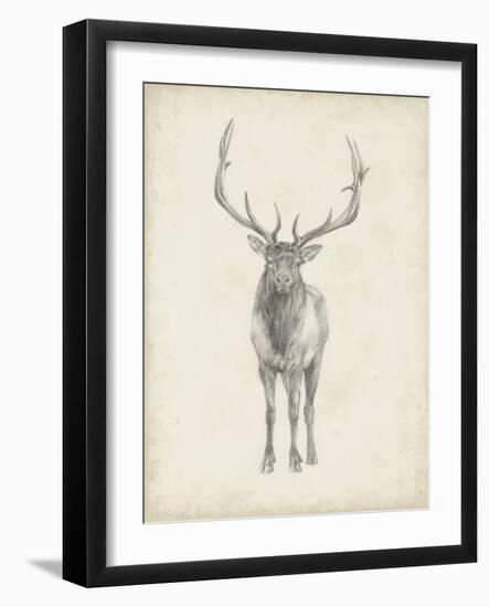 Elk Study-Ethan Harper-Framed Art Print