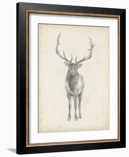 Elk Study-Ethan Harper-Framed Art Print