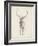 Elk Study-Ethan Harper-Framed Art Print