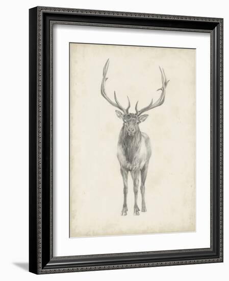 Elk Study-Ethan Harper-Framed Art Print