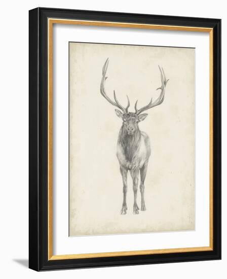 Elk Study-Ethan Harper-Framed Art Print