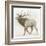 Elk v.2-James Wiens-Framed Art Print