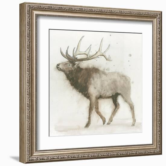 Elk v.2-James Wiens-Framed Art Print