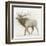 Elk v.2-James Wiens-Framed Art Print