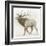 Elk v.2-James Wiens-Framed Art Print