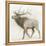 Elk v.2-James Wiens-Framed Stretched Canvas