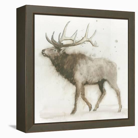 Elk v.2-James Wiens-Framed Stretched Canvas