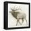 Elk v.2-James Wiens-Framed Stretched Canvas