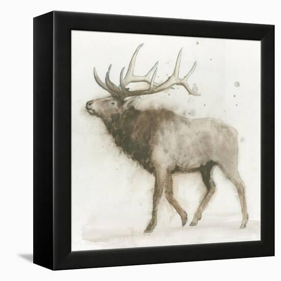 Elk v.2-James Wiens-Framed Stretched Canvas